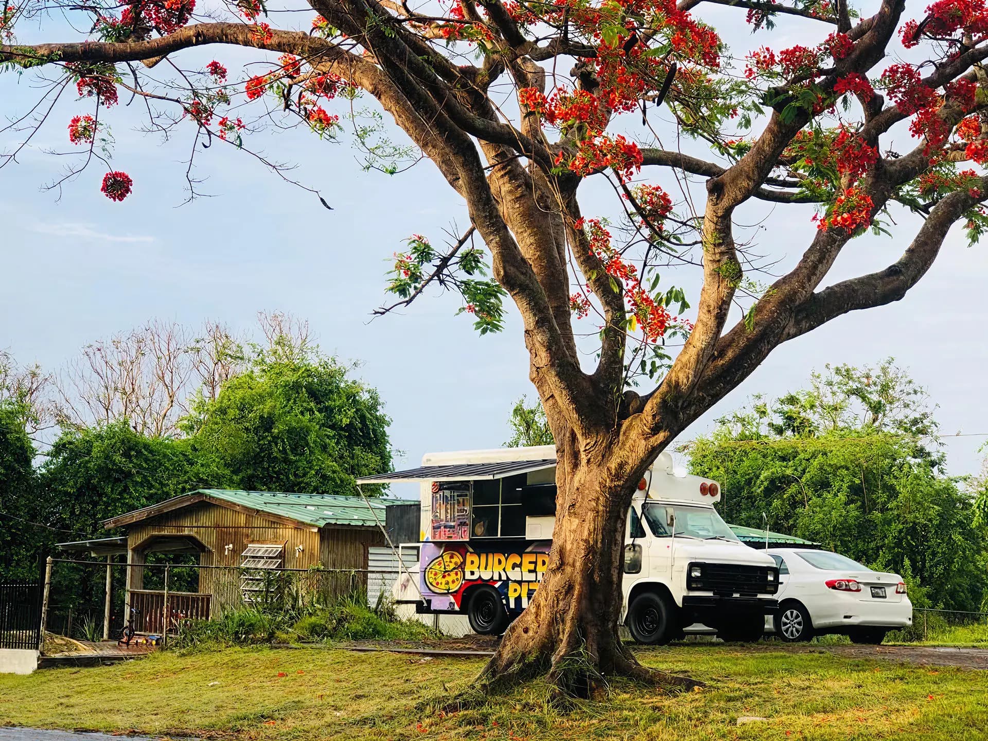 Our Restaurant Story